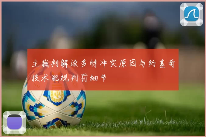 主裁判解读多特冲突原因与约基奇技术犯规判罚细节