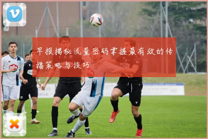 早报揭秘流量密码掌握最有效的传播策略与技巧