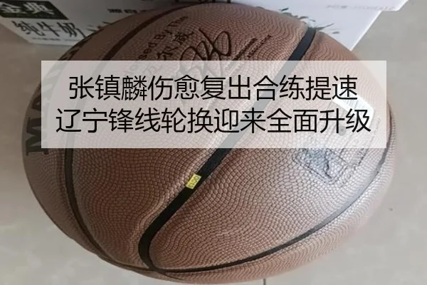 张镇麟伤愈复出合练提速 辽宁锋线轮换迎来全面升级